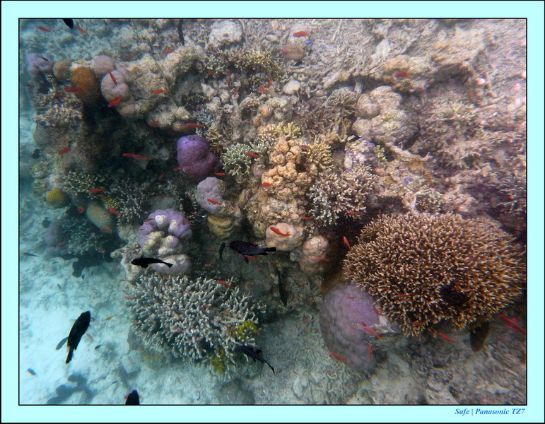 2009   07   Matakin 11